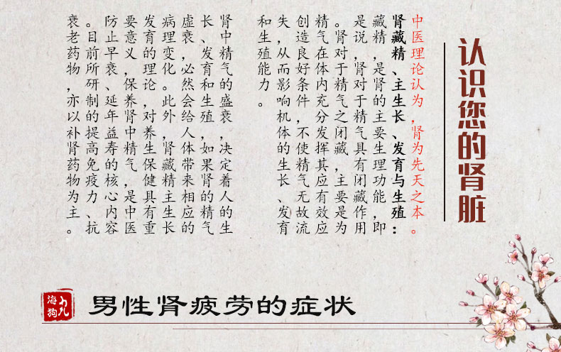人参海狗丸60粒电商版红色_02.jpg