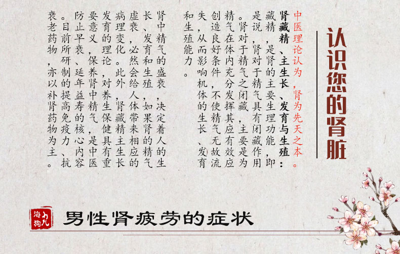 人参海狗丸240粒_02.jpg